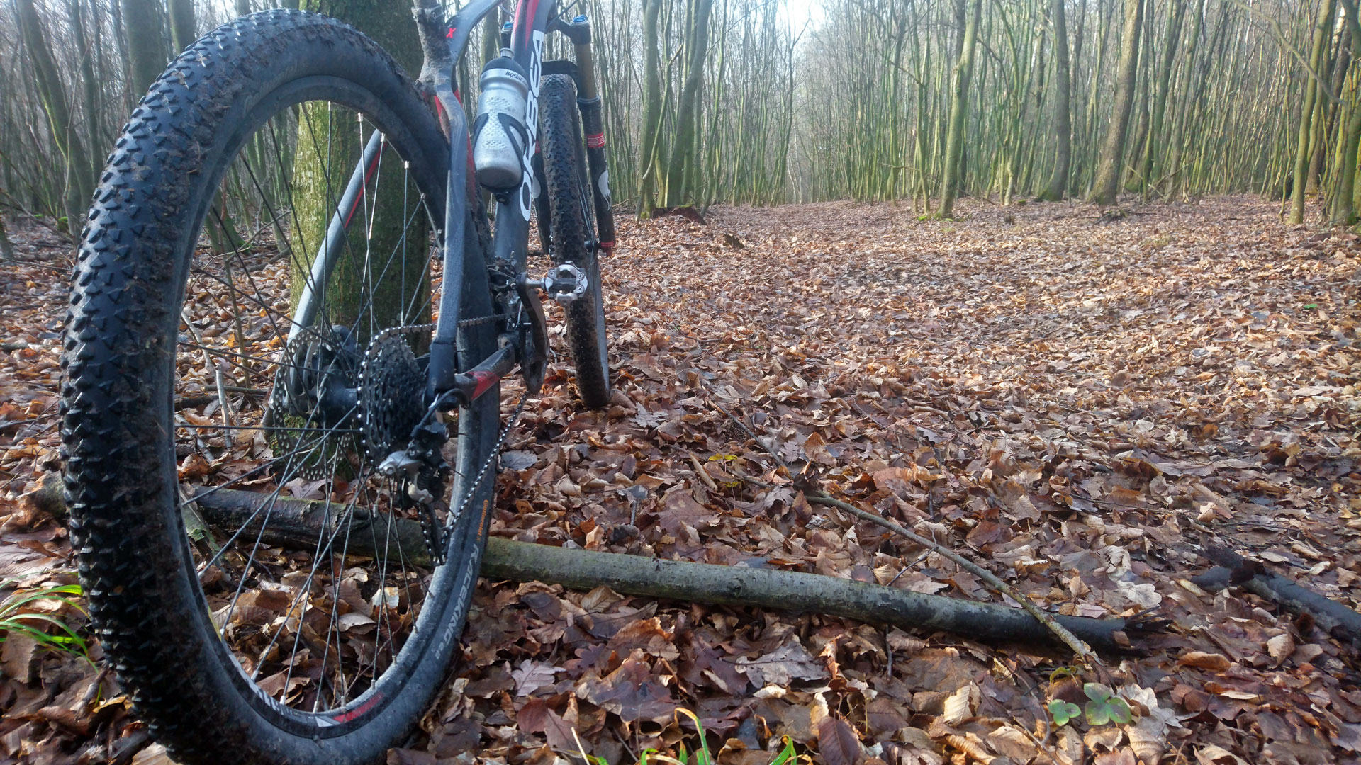 Zakaz wstępu do lasów i Parków Narodowych