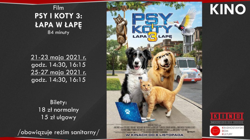 Psy i Koty 3 | Morskie Oko Krasnystaw