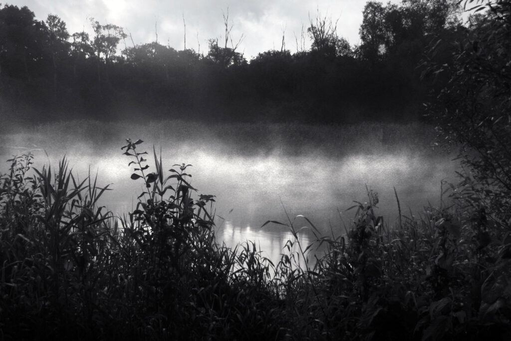 NA STYKU Świerże 2024