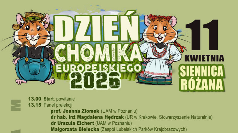 Dzień Chomika Europejskiego - Siennica Różana