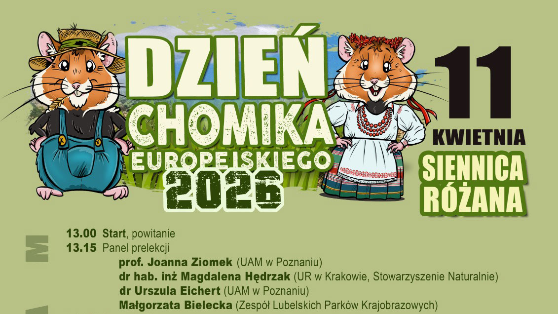 Dzień Chomika Europejskiego - Siennica Różana
