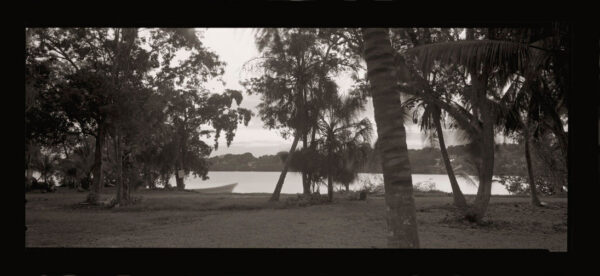 Fot. Andrzej Jerzy Lech