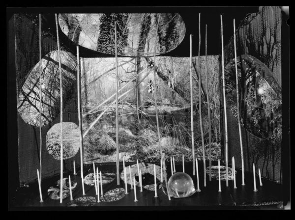 Fot. Eugeniusz Józefowski